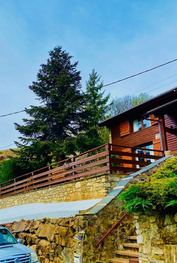 Pura Vida Villa Estavar Екстериор снимка