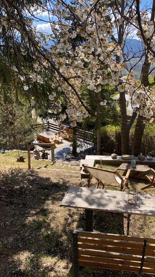 Pura Vida Villa Estavar Екстериор снимка